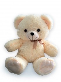 01Mich-210x284