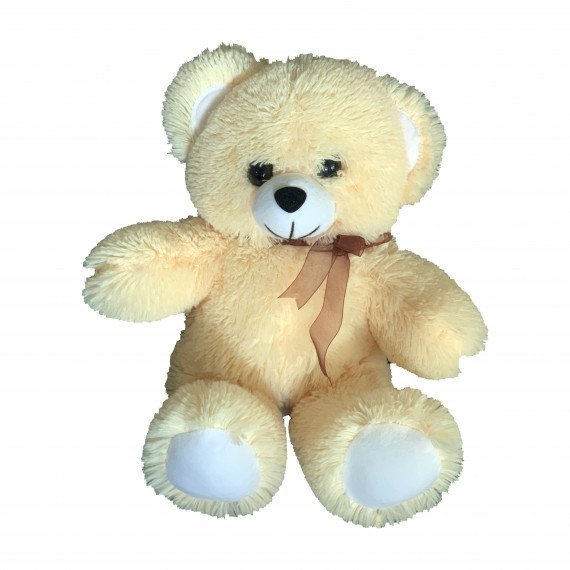 01Mich50-570x570